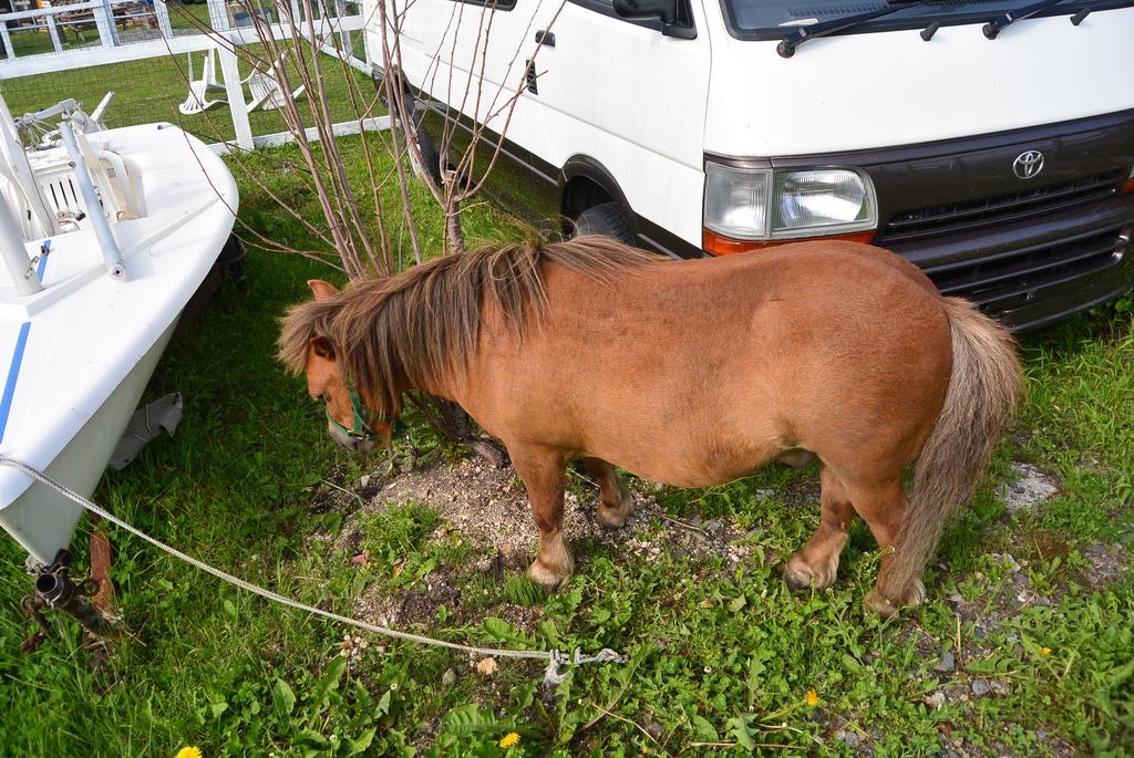 Horse Village Uma No Yado Erimo Bagian luar foto